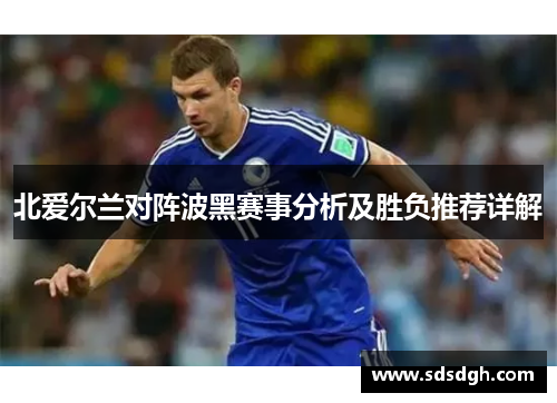 北爱尔兰对阵波黑赛事分析及胜负推荐详解