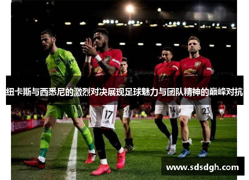 纽卡斯与西悉尼的激烈对决展现足球魅力与团队精神的巅峰对抗
