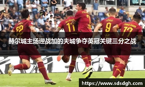 赫尔城主场迎战加的夫城争夺英冠关键三分之战