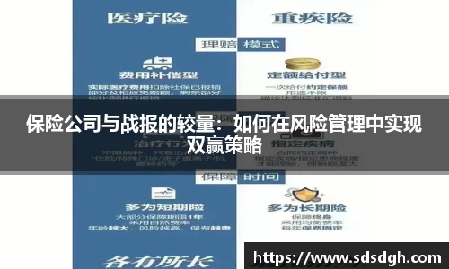 保险公司与战报的较量：如何在风险管理中实现双赢策略